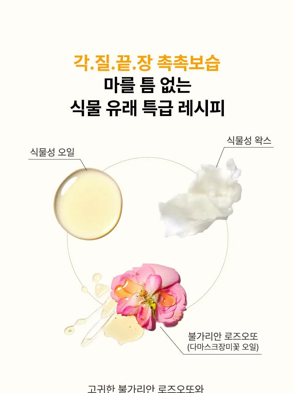 [컬러립밤] 아이소이 립 트리트먼트 밤 5g 5종 상세페이지 20